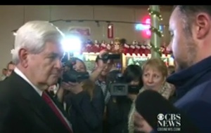 newt-gay-voter
