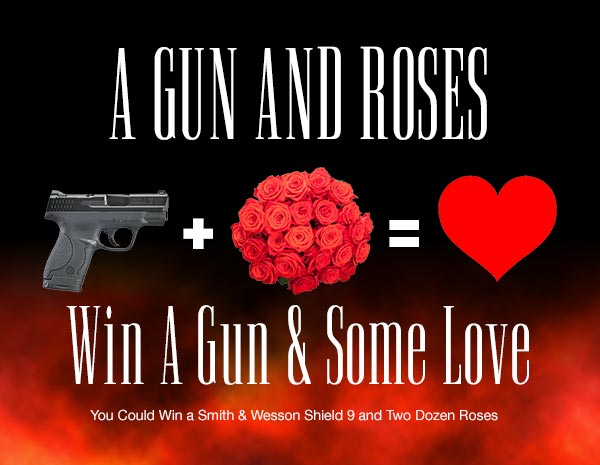 gun-and-roses3
