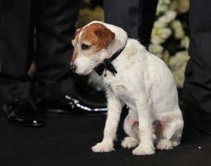 shutterstock_270536921