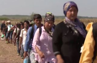 refugees