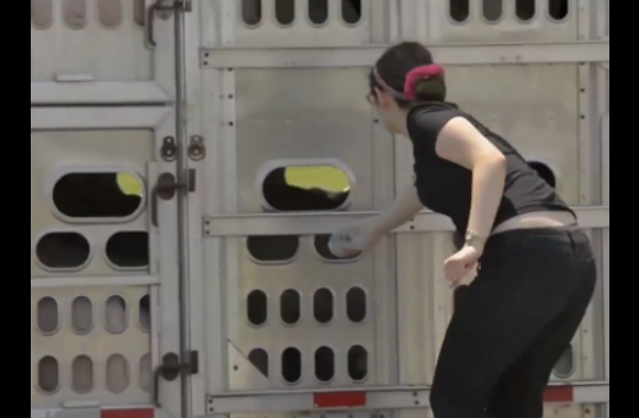 Screen Shot 2015-11-30 at 7.18.53 AM