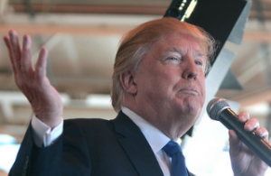 Screen Shot 2016-07-13 at 8.15.45 PM