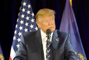 imageedit_114_3377348776