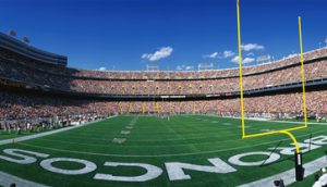 shutterstock_177979208