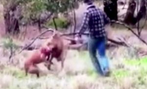 screen-shot-2016-12-05-at-12-32-02-pm-2