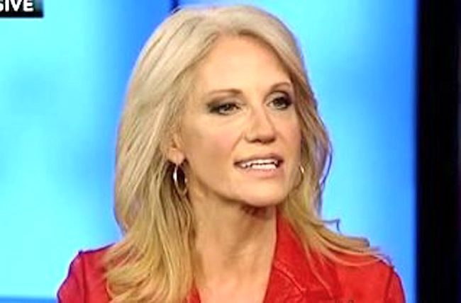 Kellyanne-Conway-e1486317734201-1-650x428