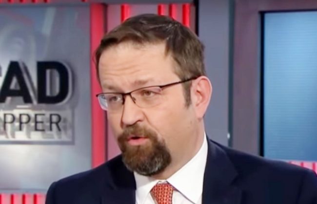 imageedit_58_4006856597