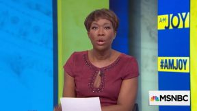 MSNBC's Joy Reid Sued For Defamation By Trump Supporter