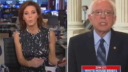 Bernie Sanders Shouts at Stephanie Ruhle for Biden Question on MSNBC