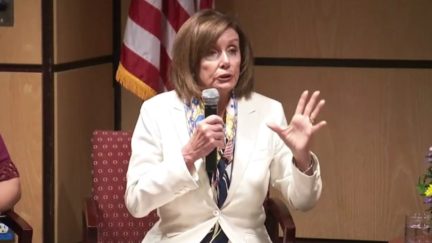 Pelosi Reveals What She Told Trump on Mass Deportation Phone Call: 'You're Scaring the Children!'