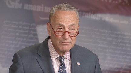 Chuck Schumer Calls for Firing of CBP Leadership