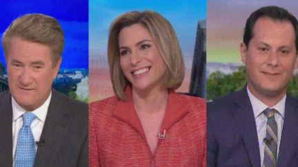 Susan Del Percio Grosses Out Morning Joe With Trump Defecation Metaphor