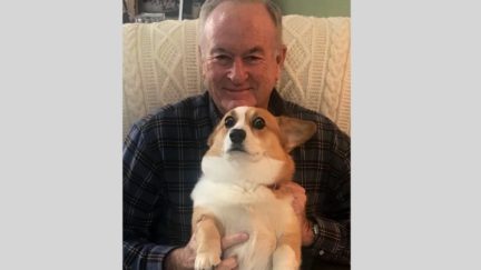 Bill O'Reilly's Dog's Panicked Look Ignite Concern Online
