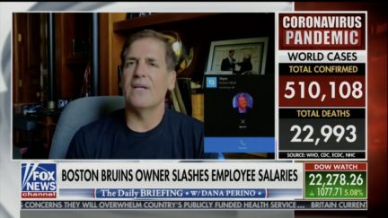 mark cuban getting call from robert wolf on fox