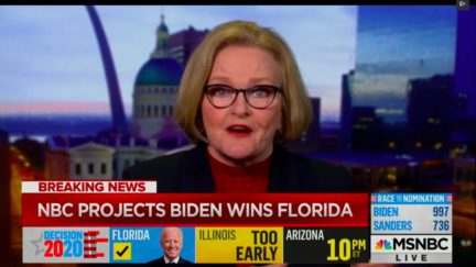 claire mccaskill on msnbc