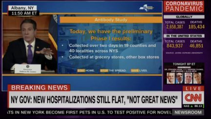 cuomo on ny antibody test