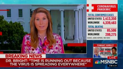 Nicolle Wallace Mocks Trump's 'Obamagate' Conspiracy as Fairy Tale