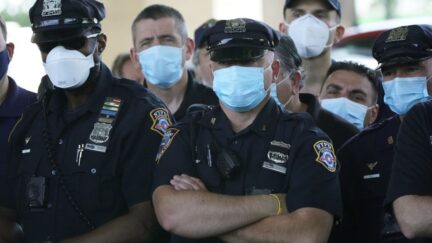 nypd new york police department masks
