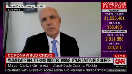Miami-Dade Mayor Claims City, State Covd Cases 'Way Undercounted'