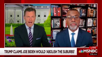 Eddie Glaude on Trump's Suburbs