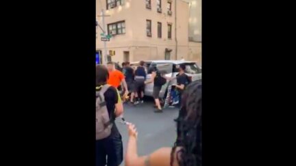 NYPD Officers Arrest Protestor