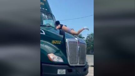 Florida man on truck hood