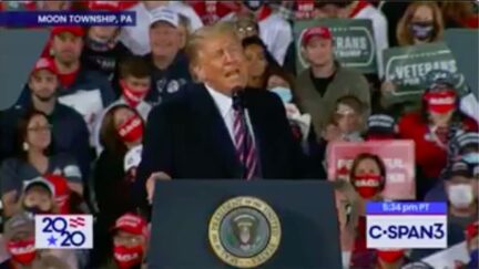 Reporters Call Out Trump for Reveling in MSNBC Reporter Being Hit by Tear Gas Shell