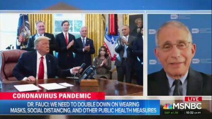 dr anthony fauci