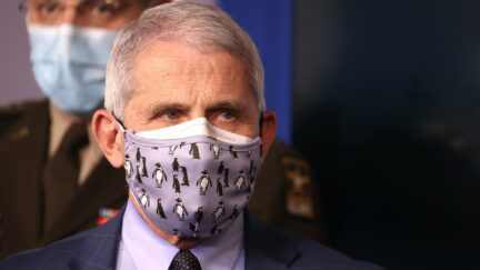 Anthony Fauci Tasos Katopodis/Getty Images