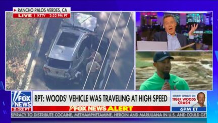Greg Gutfeld Hits Media for Hyping Story of Tiger Woods' Car Crash