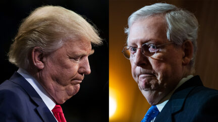 Trump Trying to Oust McConnell as Senate Leader