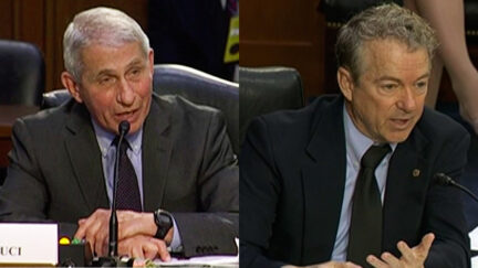 Dr. Fauci and Sen. Paul face off at Senate Hearing