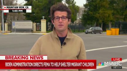 Jacob Soboroff Calls Out GOP Grandstanding on Border 'Crisis'