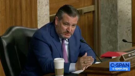 Ted Cruz