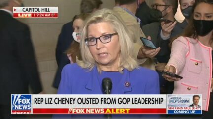 liz cheney