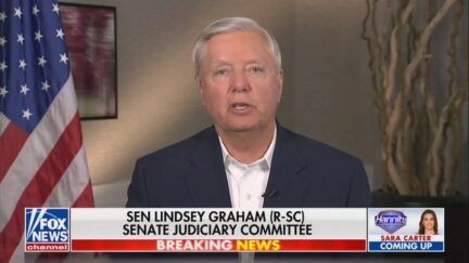Lindsey Graham on Hannity