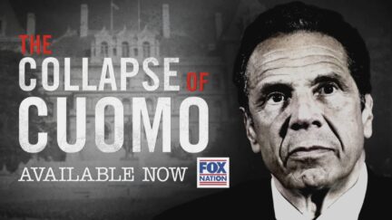 fox nation collapse of cuomo