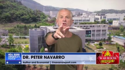 Peter Navarro