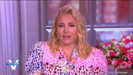 Meghan McCain co-hosts The View