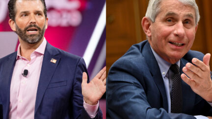 don jr and fauci
