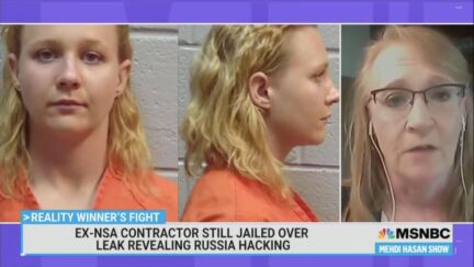 mehdi hasan reality winner