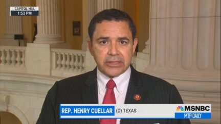 Rep. Henry Cuellar (D-TX) on MTP Daily July 29