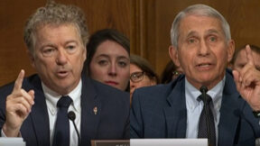rand paul anthony fauci