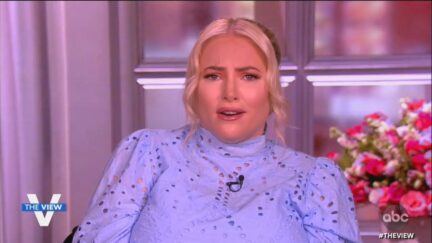Meghan McCain on the View