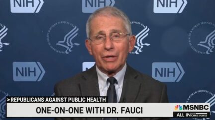 Anthony Fauci