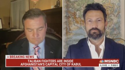 matt zeller on msnbc