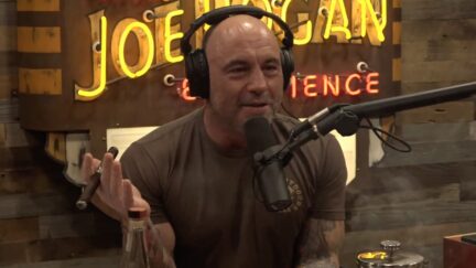 Joe Rogan