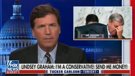 Tucker Carlson Goes After Lindsey Graham