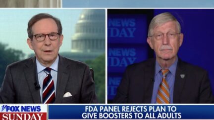 Chris Wallace Debates NIH's Francis Collins on Boosters