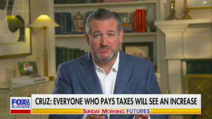 Ted Cruz in an interview on Fox News
